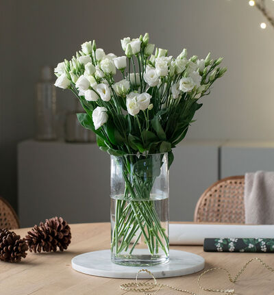 Hvit lisianthus Hvit lisianthus